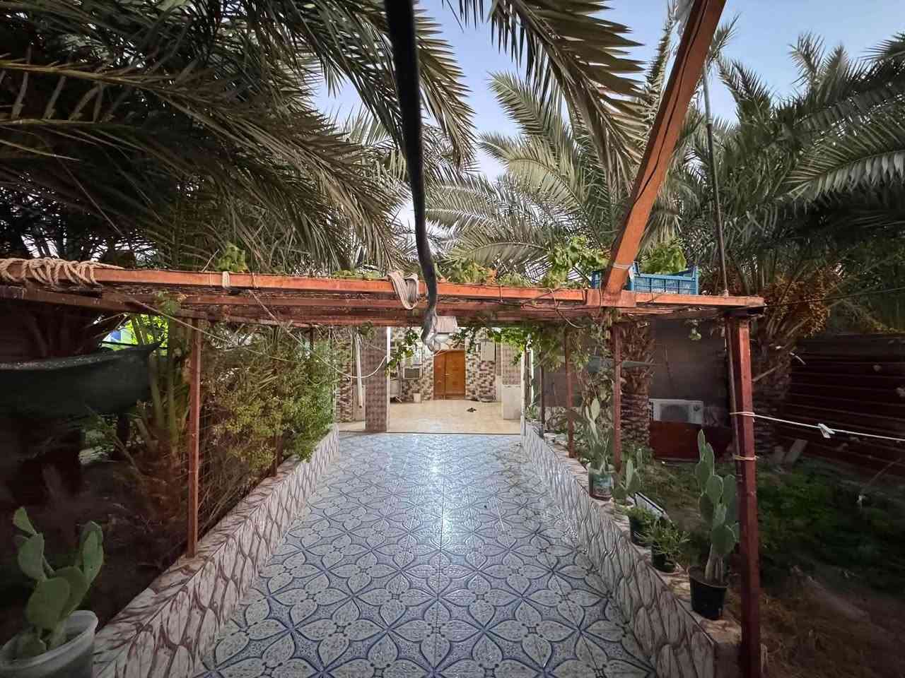 مكلف بالنشر
بيت للبيع مساحة ٣٠٠ م

في منطقة الساده البوهلاله 

واجهة ١٤ ونزال ٢٢

يتكون من استقبال ٧x4.20

وصالة ٧x4.20

و٣ غرف نوم ومطبخ وصحيات داخليه وخارجية ومخزن داخل البيت ومحل مساحة ٦x3.5

ويوجد داخل البيت ١٣ نخلة 

٧ شويثي 

١ برحي 

١بربن 

والباقيات مشكل

السعر 100 مليون وبيه مجال 

للاستفسار ***********

