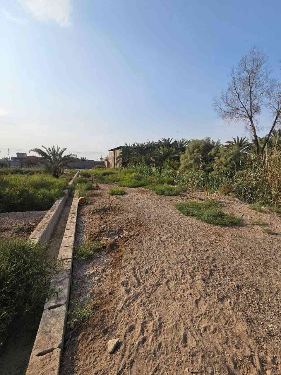 دونم • طابو صرف • ابوالخصيب