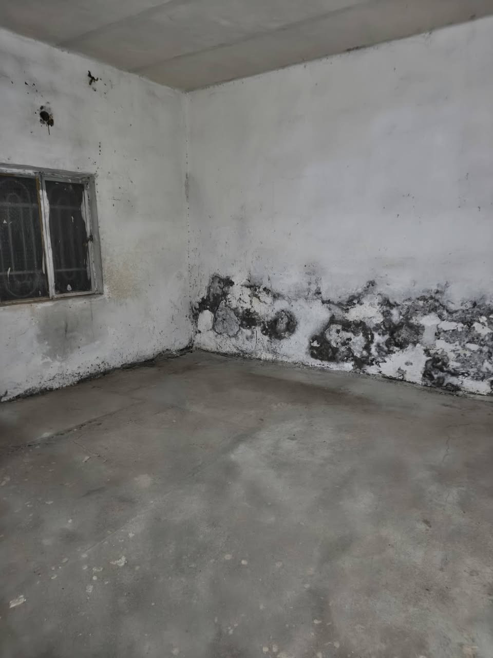 ‏🏠 مشتمل للإيجار – موقع مميز في الحلة
‏
‏📍 الموقع: مصطفى راغب-  قرب شارع الجبل
‏✨ مشتمل ل أيجار موقع جيد وحيوي 
‏
‏
‏
‏🏡 تفاصيل البيت
‏
‏🔹 غرفة نوم
‏🔹 مطبخ
‏🔹 كليدور
‏🔹 صحيات
‏
‏السعر 250 الف 
‏
‏🤝 زوروا مكتبنا للاطلاع على أحدث العروض المتوفرة واختيار العقار الأنسب لكم، أو تواصلوا معنا للحصول على تفاصيل أكثر عن العقارات                                                
‏***********
‏***********
‏
‏
