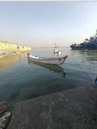چينكوه • ٧٫٥م • البصرة أبي الخصيب