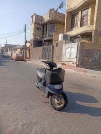 منغولي • ٦٠ • شاصي مكفول
