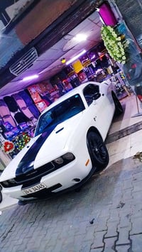 جالنجر • ٢٠١٣ • قطعه ونص صبغ