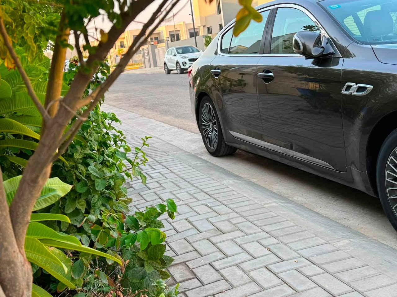 السلام عليكم
كيا كوريس للبيع موديل ٢٠١٤
خليجي فوووووول مواصفات 
السعر ١٢٠وبيه مجال 
للاستفسار ***********
مكان السياره بغداد السيديه

