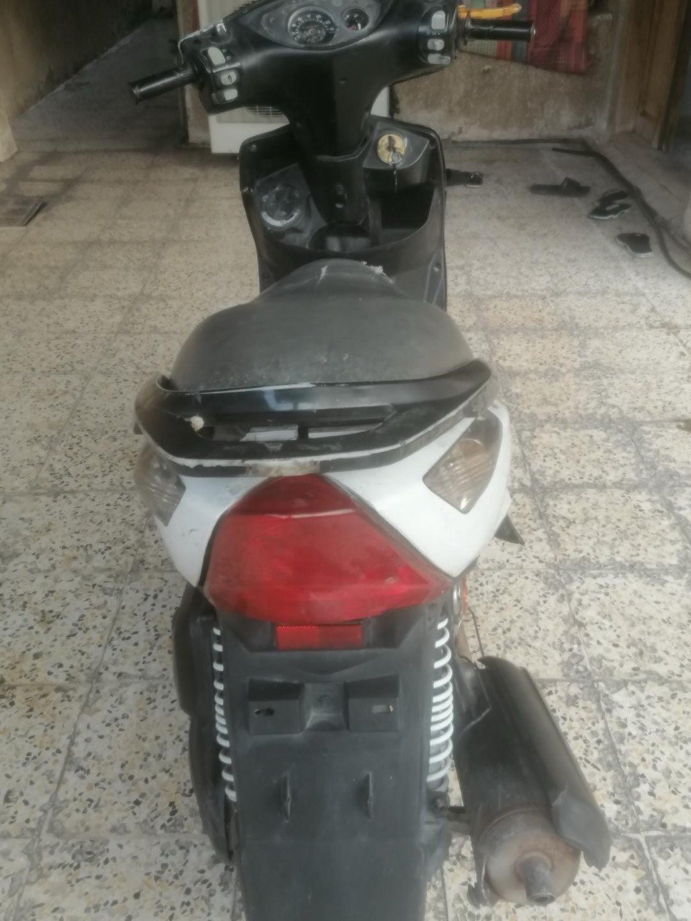 ماكس ثعلب • مبدل • نضيفه