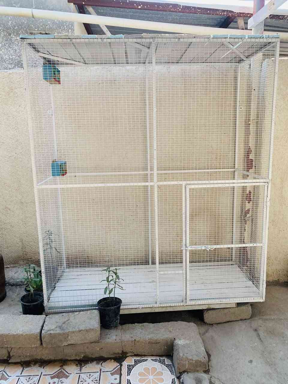 قفص حديد للبيع 🐦
📏 الارتفاع: مترين

📐 العرض: متر و80 سم

📏 النزال: 75 سم

🔩 شبك BRC، فتحة 1.5 × 3

🔧 شخاط سمك 1 ملم

✅ تكدر تخلي على الارضيه، وتكدر تعلّكه على الحايط.

🎨 مصبوغ لون أبيض، حتى ما يزنجّر ابد تاخذه عمر.

✨ جديد مامربي بي ولا شي ابد الله شاهد يرهم للطيور الصغار والكبار او حيوانات اخرى

شغل درجة أولى.

سعره 185 الف وبي مجال قليل حك الكروه 

📍 المكان: البصرة – الهوير

📱 واتساب: ***********
