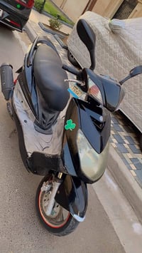 سكنس فحل • ياباني • نفخ