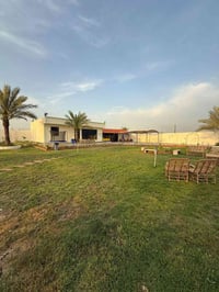 متوفر يوم الربعاء بغداد دوره عرب جبور 07879883018الستفسار