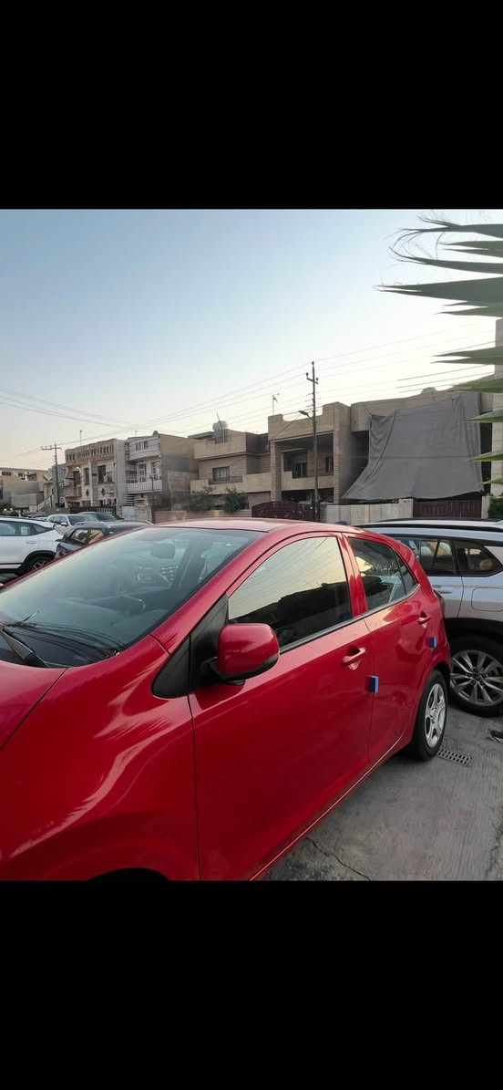 بيكانتو • ٢٠٢٤ • رقم أربيل