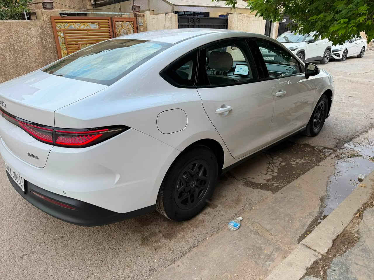 سيل فايف • جديدة • مكفولة