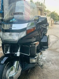 كولدن • ٩٧ • مكفوله