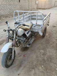 ستوته • جاهزه • مكفوله