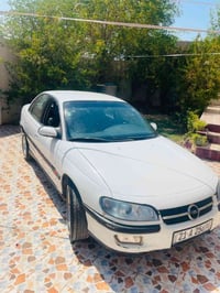 اوبل بزون • ١٩٩٤ • جلولاء