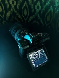 سوني A7R II • ٤٢٫٤ ميجابيكسل • نظيفة