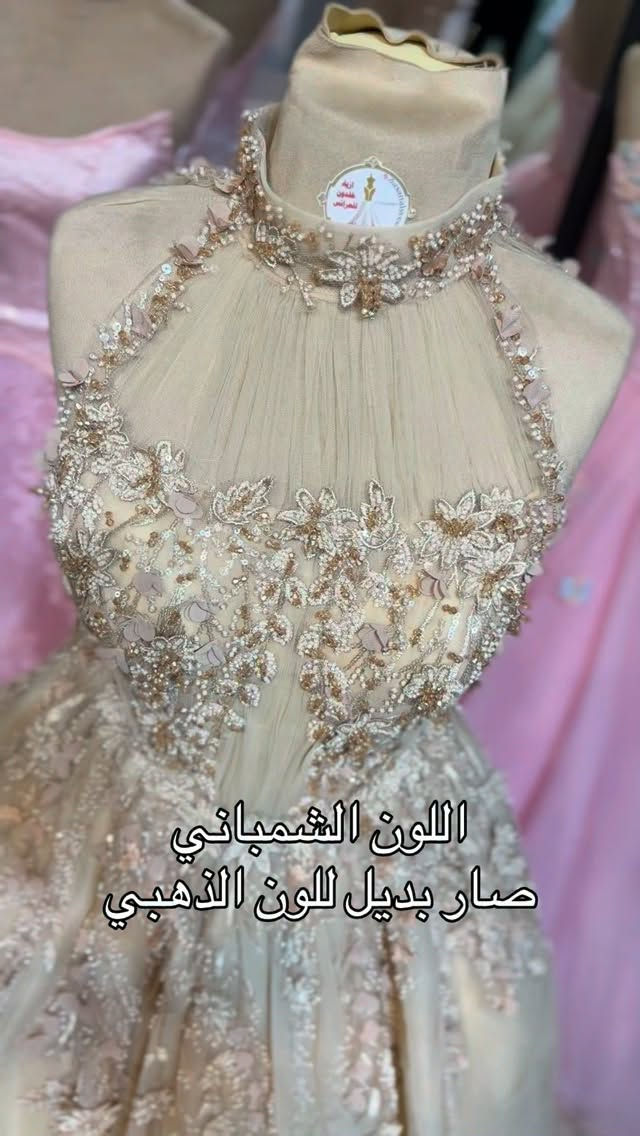 شمباني • بديل ذهبي • ازياء خلدون