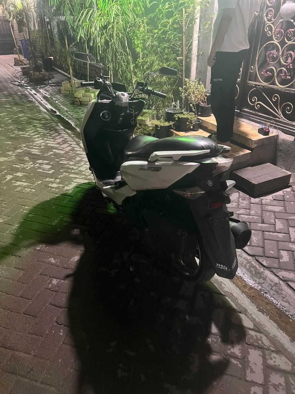 ماجستا S • حديثه • مشيها يخبل