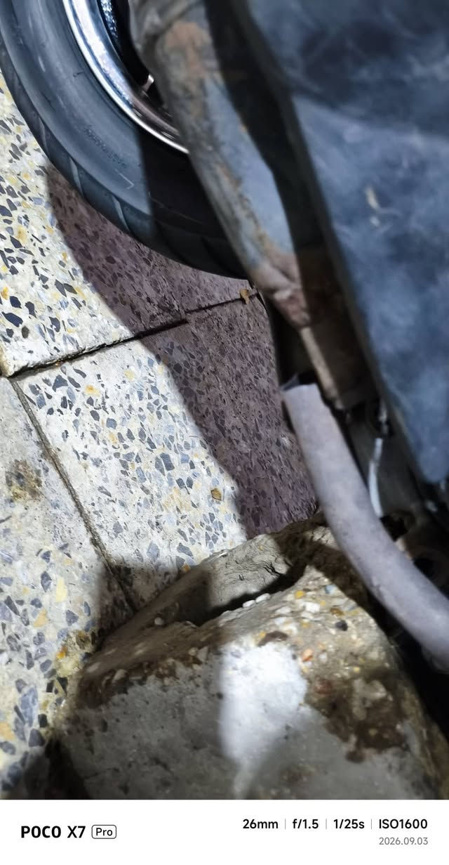 ماكس عدله محرك بلاد وعليها ادامه من كلجات وبلك ودراجه مرتبه وختم واحد كاهربيات شغاله وحلوه مكان بغداد جسر دياله بيع او مراوس ***********

