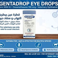 قطرة عين بيطرية • جنتاميسين ديكساميثازون • 10مل