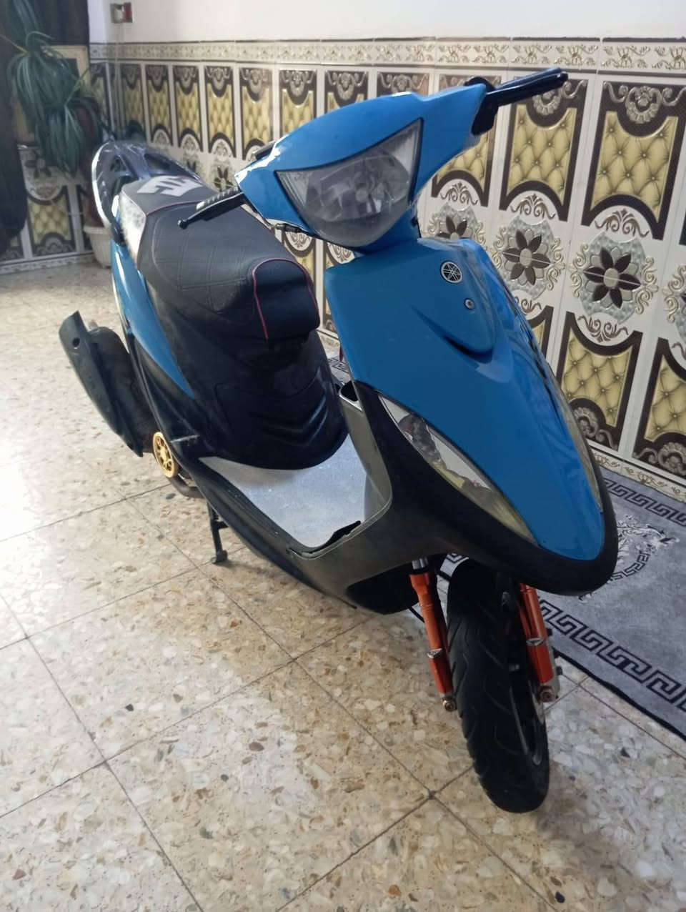 ماكس عدلة • كفالة • NCY