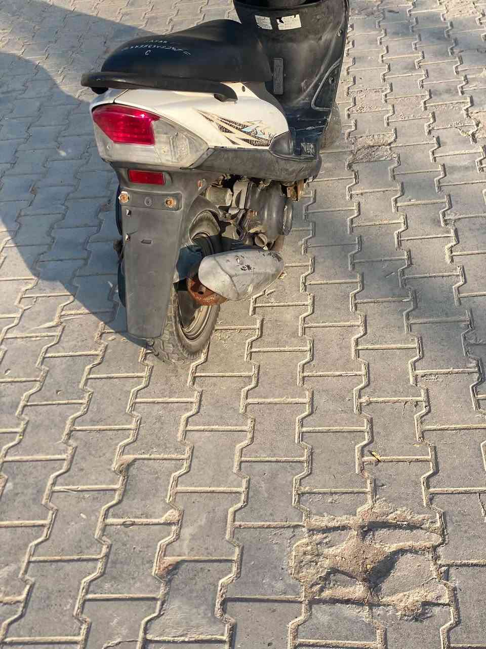 ماكس عدله • مكفوله • بلاديه