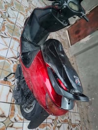 فحل • دسك • ابوصخير