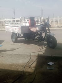 ستوته • كلك • ٢٠١٥