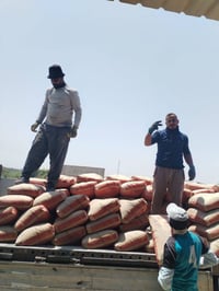 اسمنت دلتا • وجبة جديدة • سعر مناسب