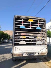 كنتر • ٢٠١٦ • سليمانيه