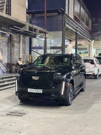سكاليد ٦٠٠ • ٢٠٢٣ • مغلفة PPF