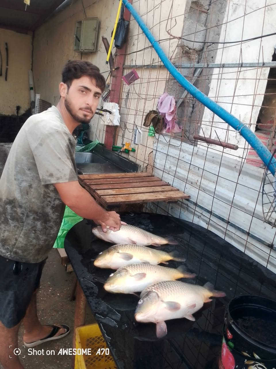 سمج • جملة ومفرد • جبله شارع السكلات