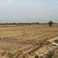 ٥٠ دونم • نهر للسقي • مفرك الكفل