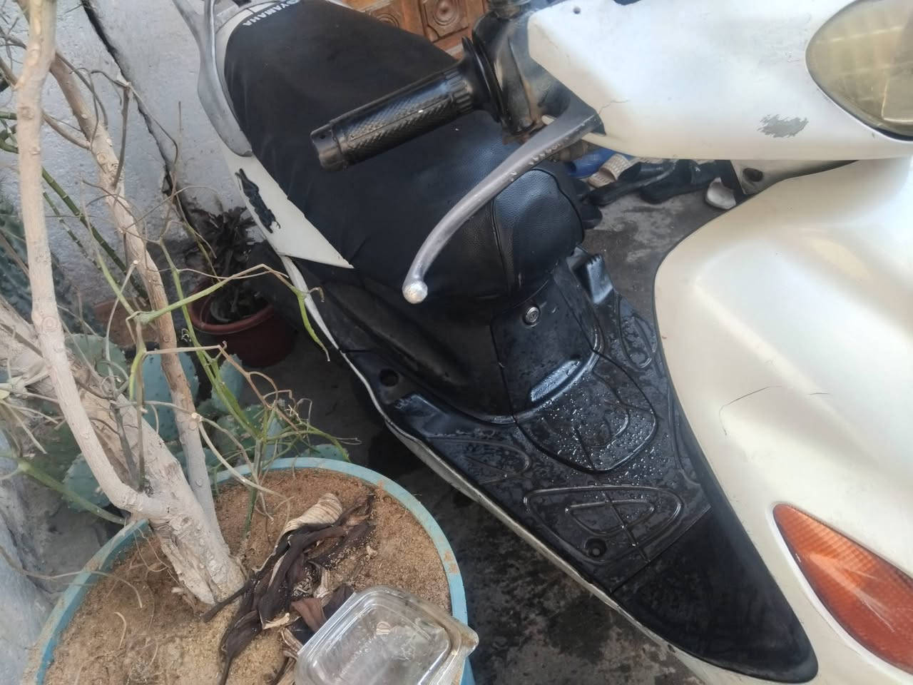 ***********
شارع فلسطين متواجد بس على الرصيد
