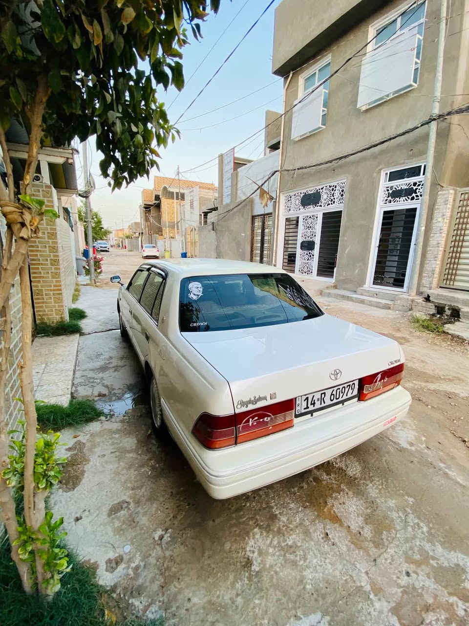 سلام عليكم البيع راس ثور تكم  الاستفسار ***********
