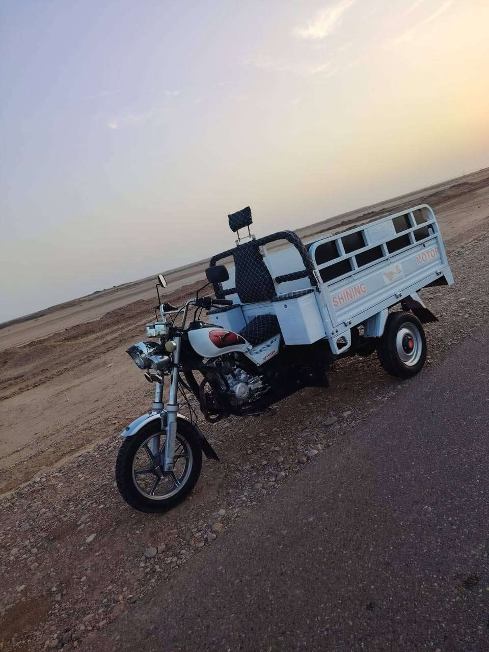 ستوته • فحل • مديل 24