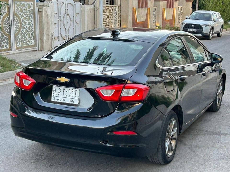 شوفر كروز • ٢٠١٩ • وارد أمريكي