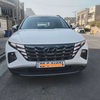 ٢٠٢٤ • رقم اربيل • ماشية ١٨٠٠٠