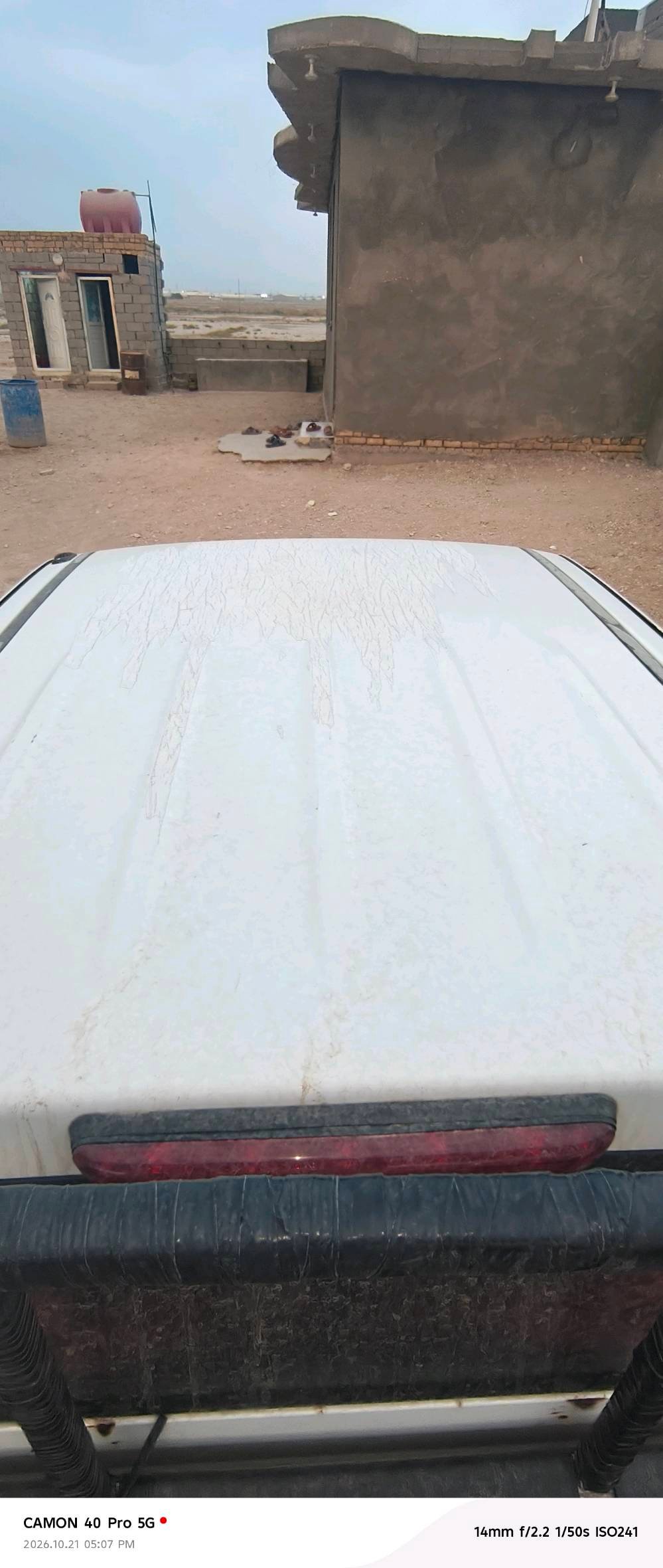 ساره جريت ويل • ٢٠١٥ • كفاله عامه