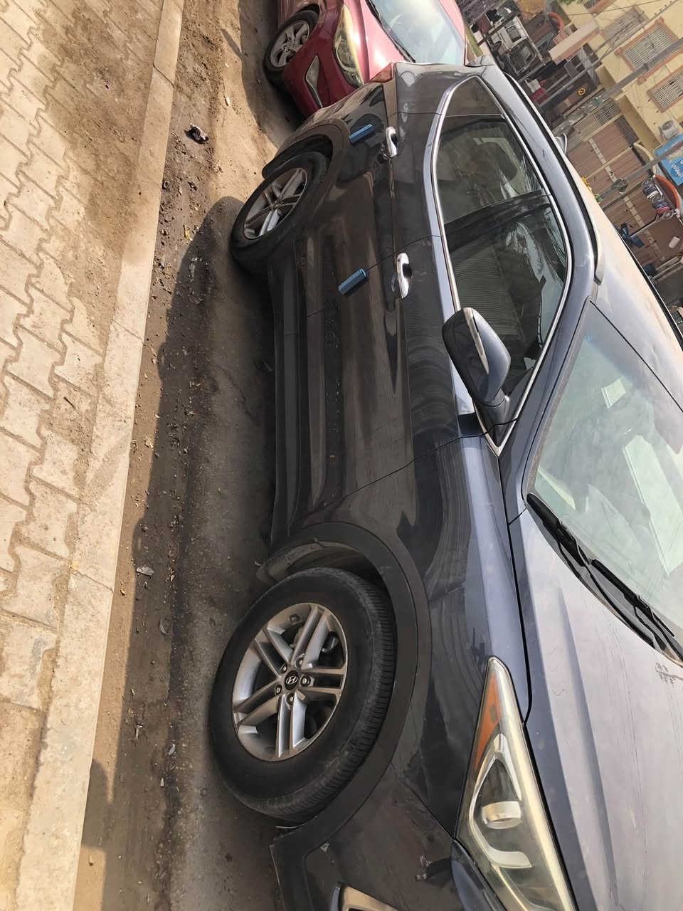سنتافيا • ٢٠١٨ • وارد امريكي