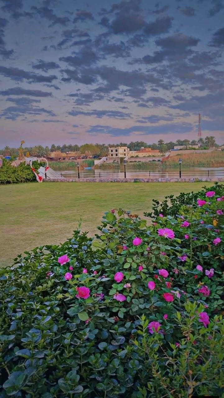 الترند المينقفل 👑 شاطئية الزعفرانية عشق الزبائن ❤️ موثقة باجرلي ***********
