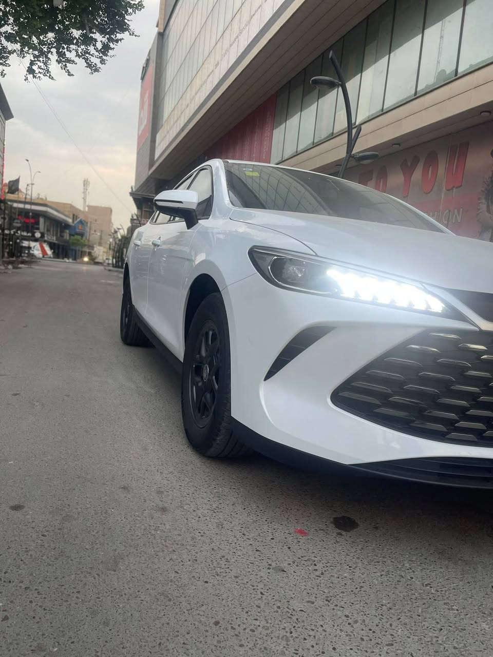 كن بلاص • ٢٠٢٥ • ماشية ٨٠٠٠٠