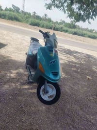 فراشة فحل • مجفتة • لا بخار