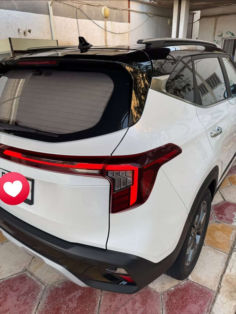سيليتوز • ٢٠٢٤ • ٣٣ الف