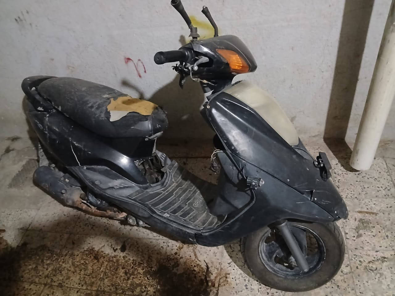بريز • شغاله • هندر وسلف