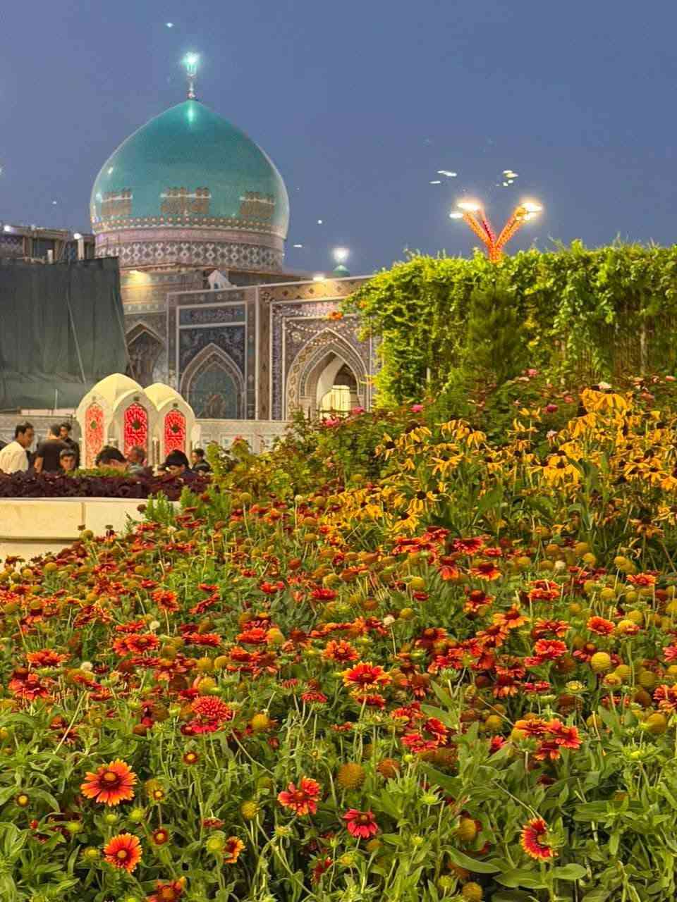 ✨ رحلتكم الإيمانية والسياحية أجمل مع شركة الشريفي ✨
تعلن شركة الشريفي للسفر والسياحة والحج والعمرة (حملة الرسول الأعظم ﷺ) عن انطلاق رحلتها المميزة إلى إيران 🇮🇷
🗓 موعد الرحلة: 1 / 9
⏳ مدة الرحلة: 11 يوماً من المتعة والاطمئنان الروحي
💰 السعر: 160 ألف دينار فقط
🚨 سارع بالحجز: المقاعد الأخيرة متبقية!
💡 مميزات البرامج والخدمات:
🏨 السكن: فنادق ممتازة وقريبة جداً من الحرم في قم ومشهد.
🚌 النقل: باصات حديثة، مكيفة، ومجهزة لأعلى مستويات الراحة.
🕌 الزيارات: جولات عبادية ومزارات شريفة في مدينتي قم المقدسة ومشهد المقدسة.
🌲 السياحة: جولات ترفيهية وزيارة أجمل المناطق السياحية في قم ومشهد.
📞 للحجز والاستفسار يرجى التواصل معنا عبر الأرقام التالية:
📱 ***********
📱 ***********
📍 خدمتكم شرف لنا.. ورحلتكم معنا لا تُنسى!
