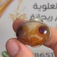 سوق الشيوخ • حي العسكري • ماعندي توصيل