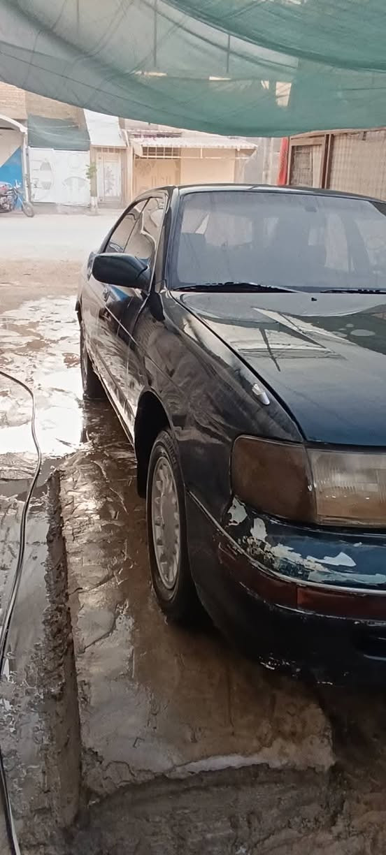 سلام عليكم بطه متصل مكينه وكير مكفولات حداديه 80 بلميه مكفوله عن الكص ونقل جثه رقم كربلاء السنويه سنه 2027 تنتهي مداور ثاني يوم السعر  40ورقه وبيه مجال المكان نجف /***********/
