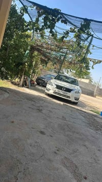 التيما • ٢٠١٣ • تقسيط