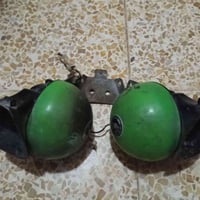 اخوان هرونات للبيع مال كصه مال جمسي مشتغلات شهر شرط الوكاله وجداده ونع...