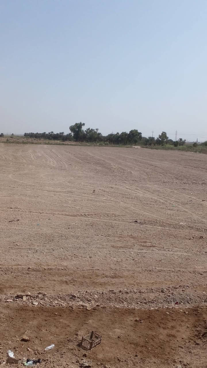 كصيبة الاولى ميسان • ٩ دوانم • ١٠٠٠ نخلة