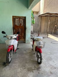 سرفيز • ثنين • كامله