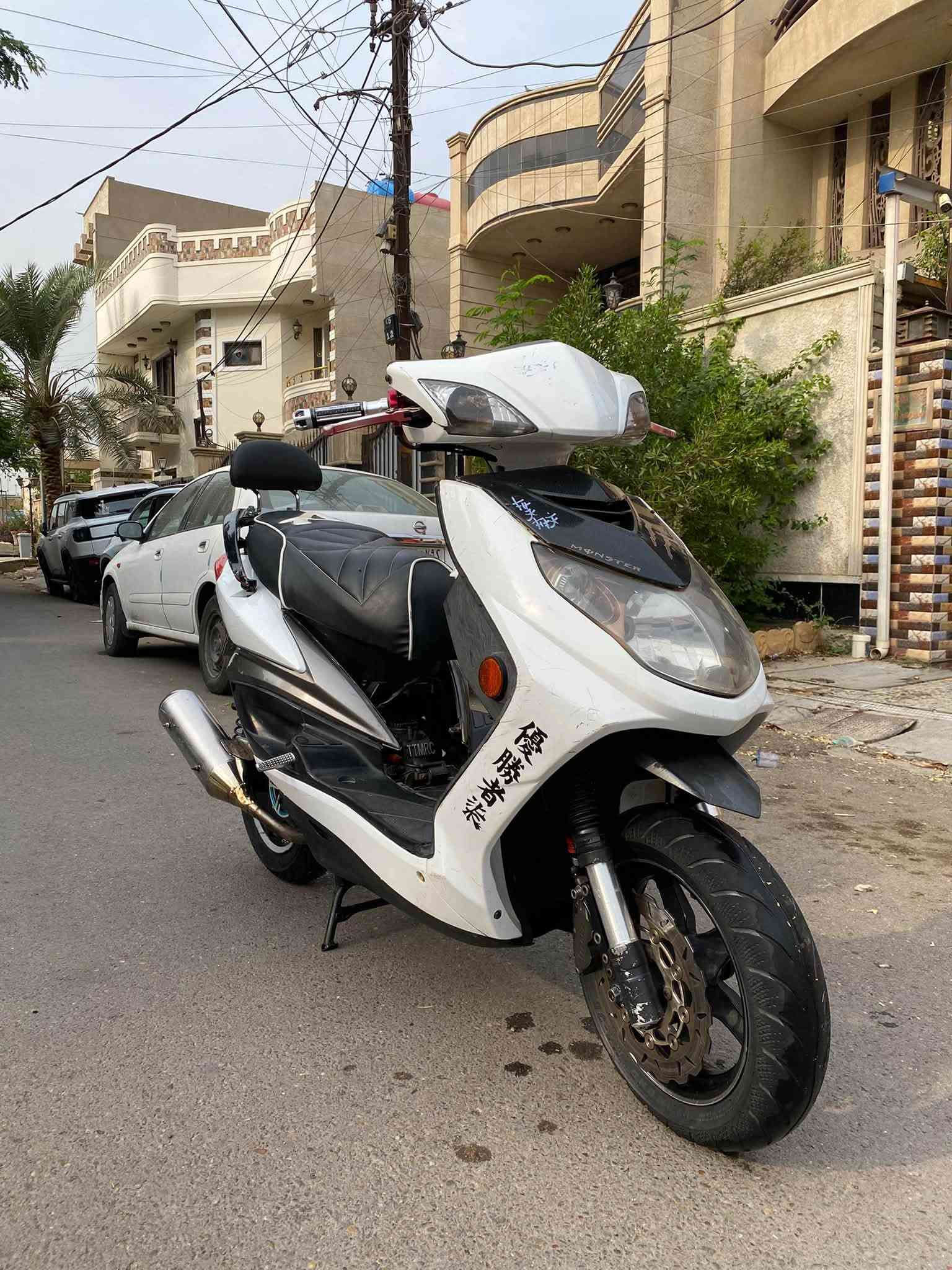 فحل نوزل • ٥٩ • جويتر 32